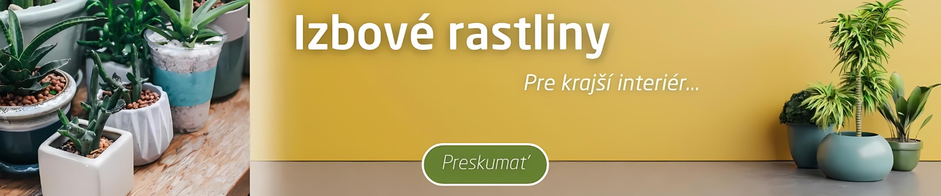Izbové rastliny