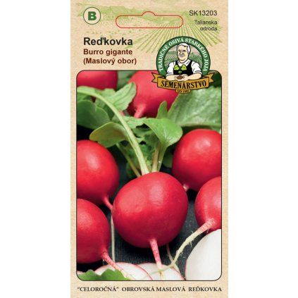 Redkovka Burro gigante