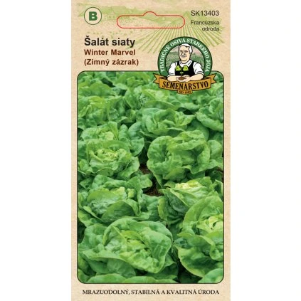 Salát siaty Winter marvel