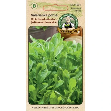 Valeriánka polná Grote Noordhollandse