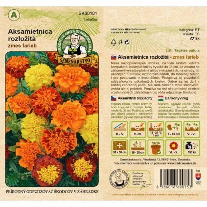 Aksamietnica rozlozitá zmes farieb