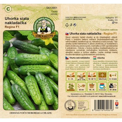 Uhorka siata nakladacka Regina F1