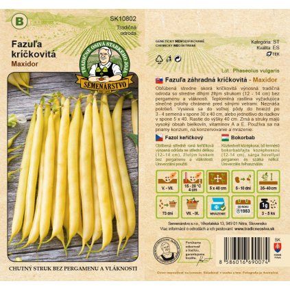 Fazula záhradná kríckovitá Maxidor