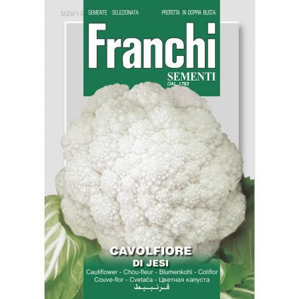 Karfiol Di Jesi osivo