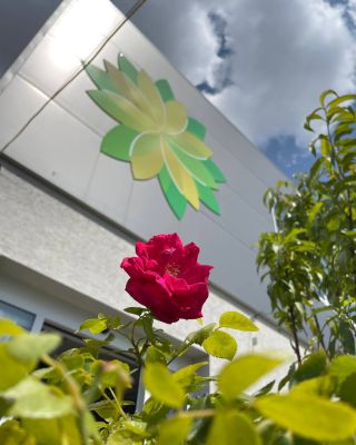 🌹✨ Letná akcia v gardencentre Oasis pokračuje! ✨🌹 -25% na všetky kríkové ruže! Kríkové ruže v našej predajni sú pripravené...