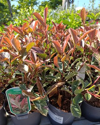 Nový tovar skladom u nás na predajni čaká práve na vás 😉 príďte si vybrať, kým ešte je 👍🤩