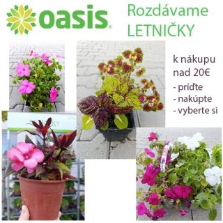 Rozdávame rastlinky. Čakajú na vás krásne Koleusy a iné letničky. K nákupu nad 20€ si môžete zdarma vybrať z našej ponuky...